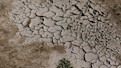 Upfront actions can limit property damage from natural disasters 