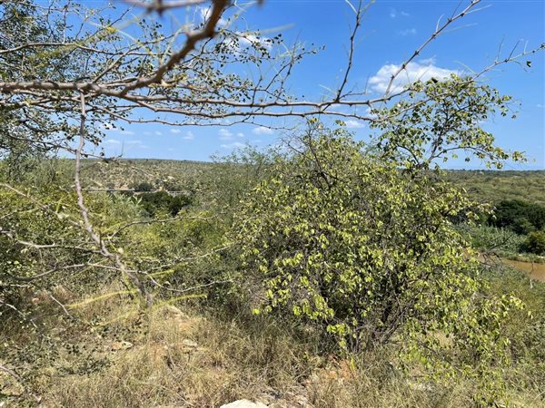 2 788 m² Land 2 788 m² Land
