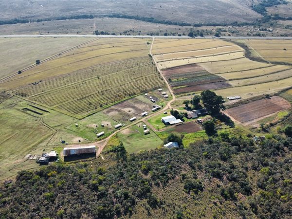 215 ha Farm 215 ha Farm