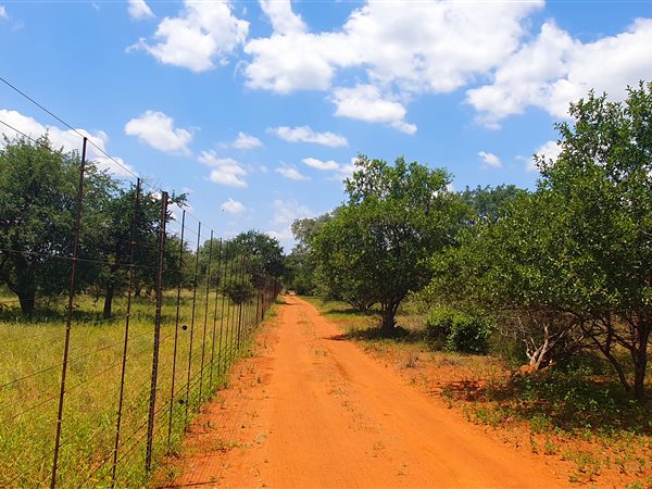 11.5 ha Smallholding 11.5 ha Smallholding