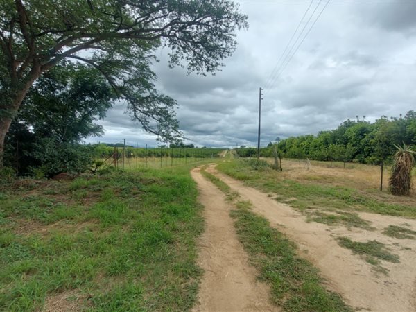 20 ha Land 20 ha Land