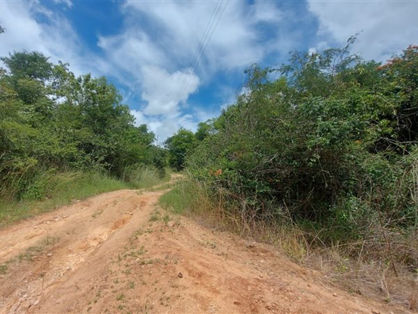 120 ha Land 120 ha Land