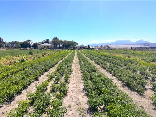 1.3 ha Smallholding 1.3 ha Smallholding