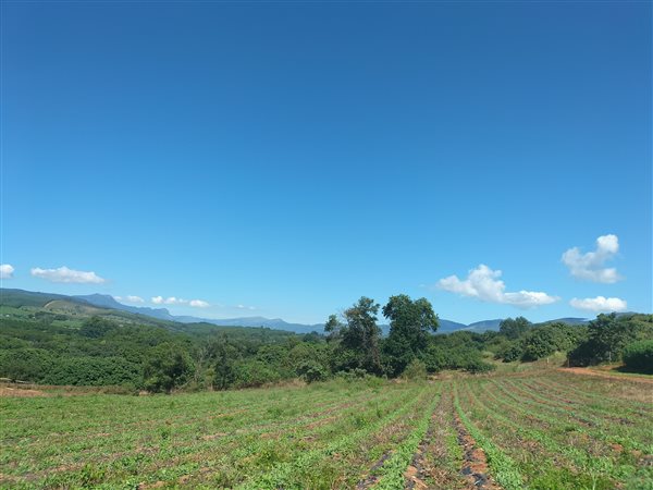 2.1 ha Smallholding 2.1 ha Smallholding