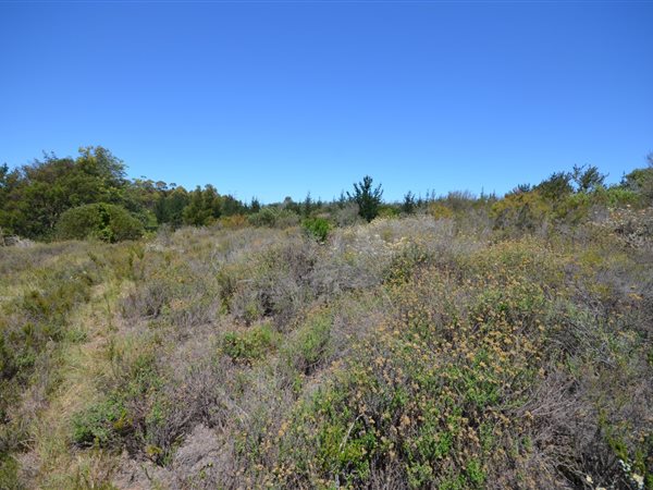 13.6 ha Land 13.6 ha Land