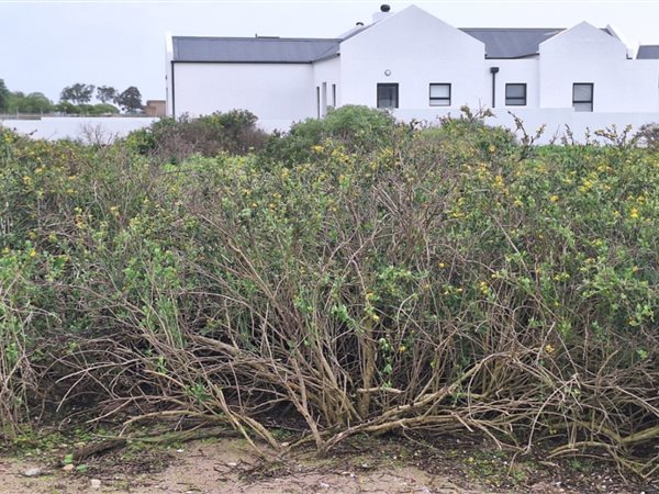 525 m² Land 525 m² Land