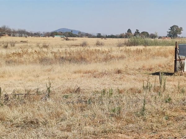 8.5 ha Smallholding