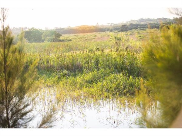 570 m² Land 570 m² Land