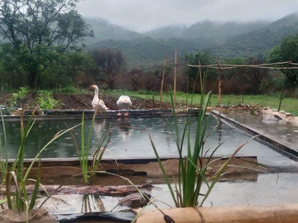 8 094 m² Farm