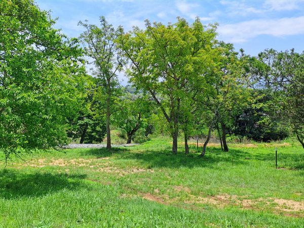 711 m² Land 711 m² Land