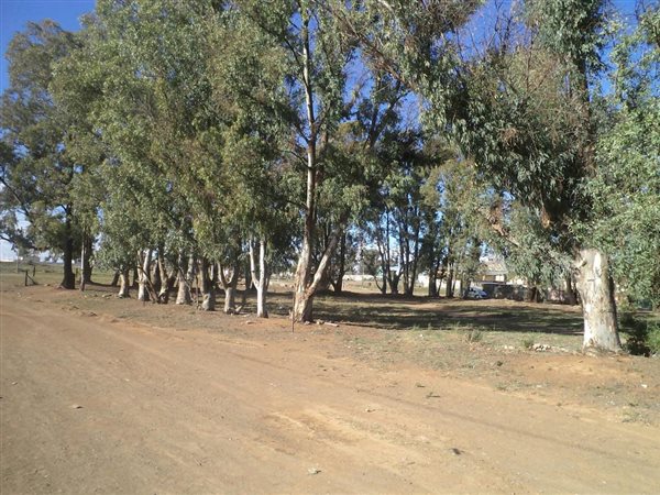 386 m² Land 386 m² Land