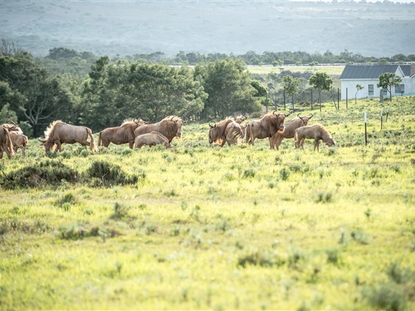 5 148 m² Land 5 148 m² Land