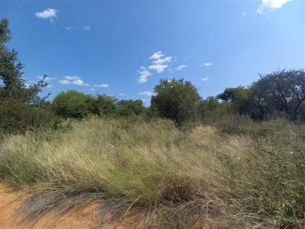 4.8 ha Smallholding 4.8 ha Smallholding