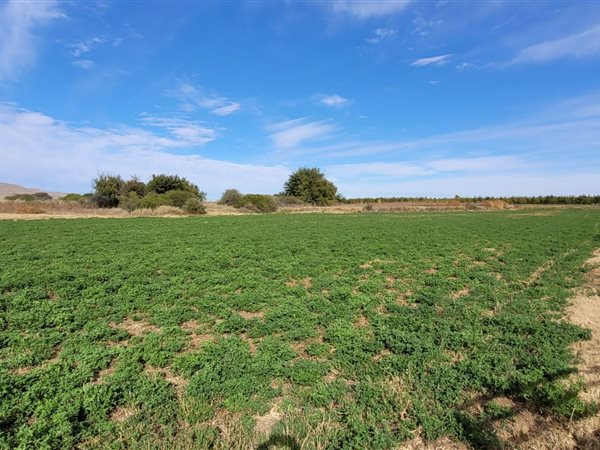 8 ha Farm 8 ha Farm