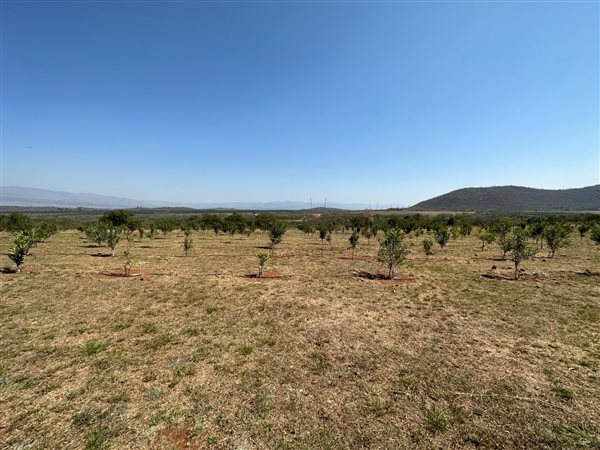 11.2 ha Farm 11.2 ha Farm
